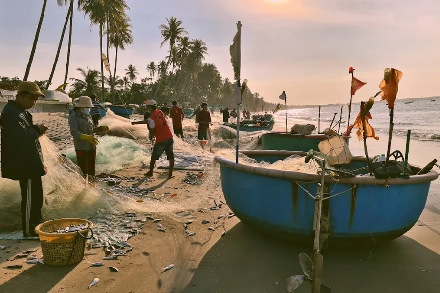 You can visit the fishing village to buy fresh sea products
