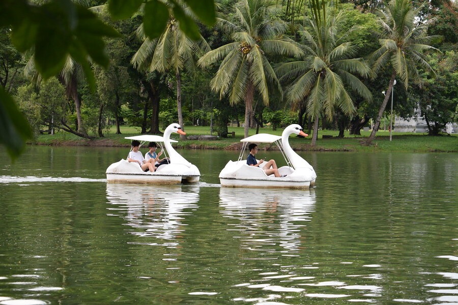 Riding Swan Boats with your Partner in Lumini Park