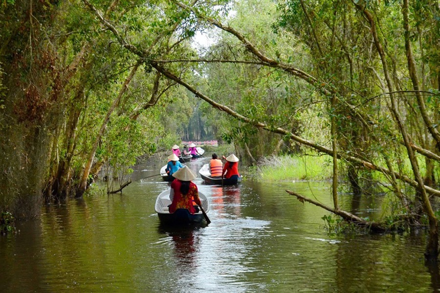 Travelling through flooded forests in Long An