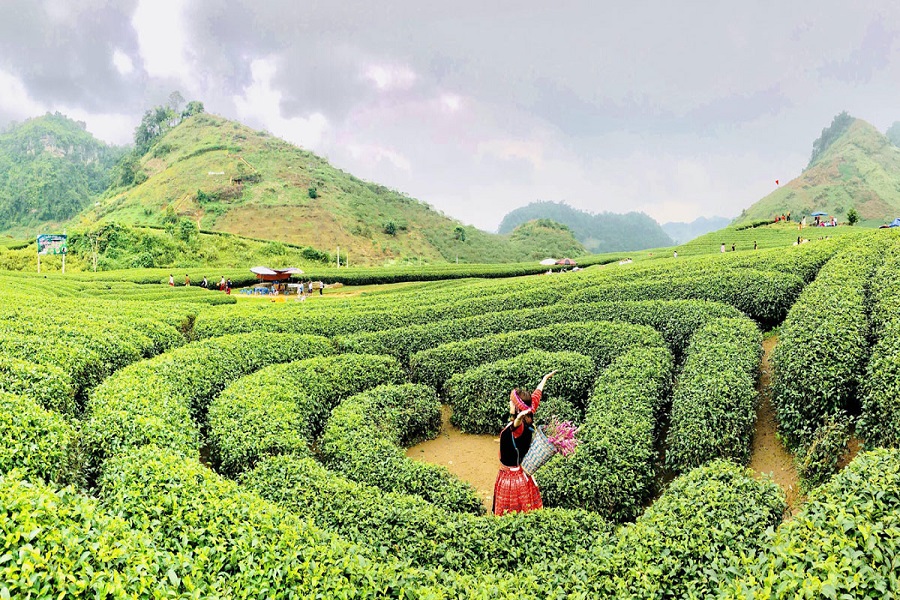 Traditional ethnic costumes are readily available for rent right at Love Moc Chau Heart Tea Hill