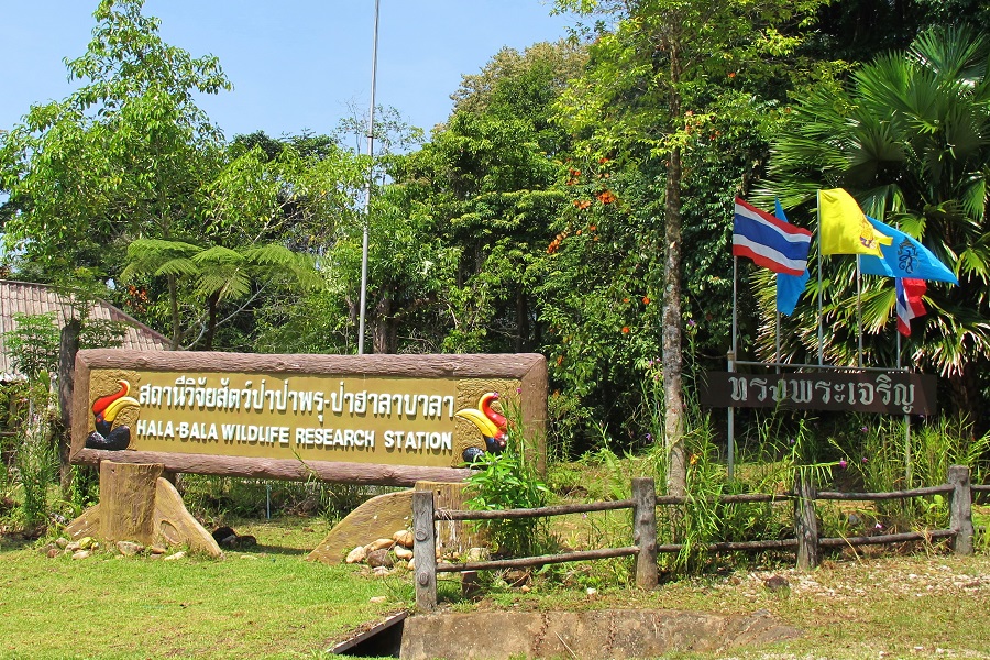 Hala Bala Wildlife Sanctuary