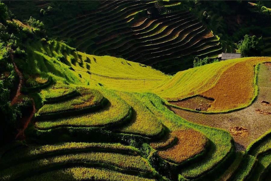 La Pan Tan stands out with its gorgeous terraced fields