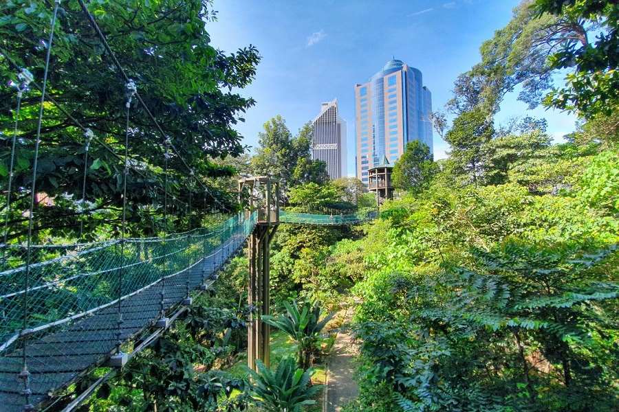 Rope bridges hanging above the lush garden in KL Forest Eco Park