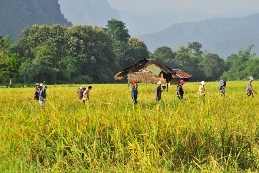 mekong river agriculture