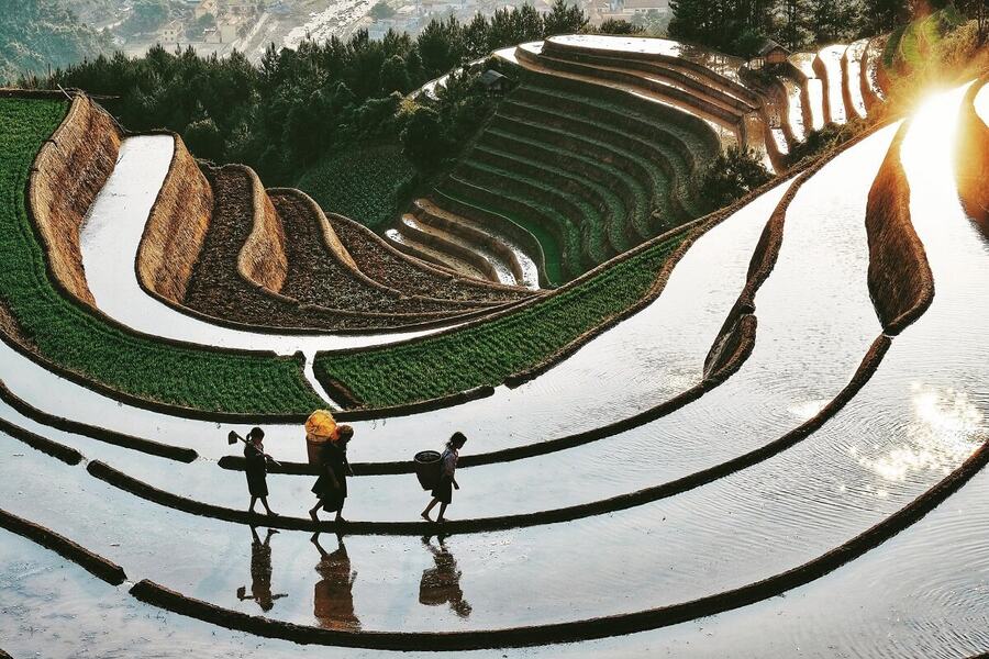 Mu Cang Chai terraced fields sparkle under the golden sunshine. Source: dulichnhatky
