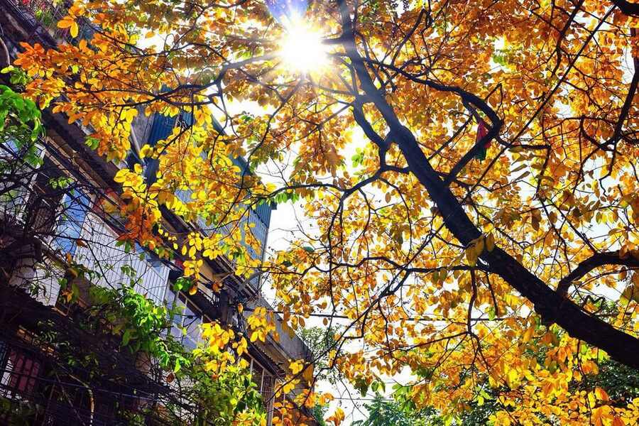 Fall is the most favorite season of the year because the weather is pleasant and cool