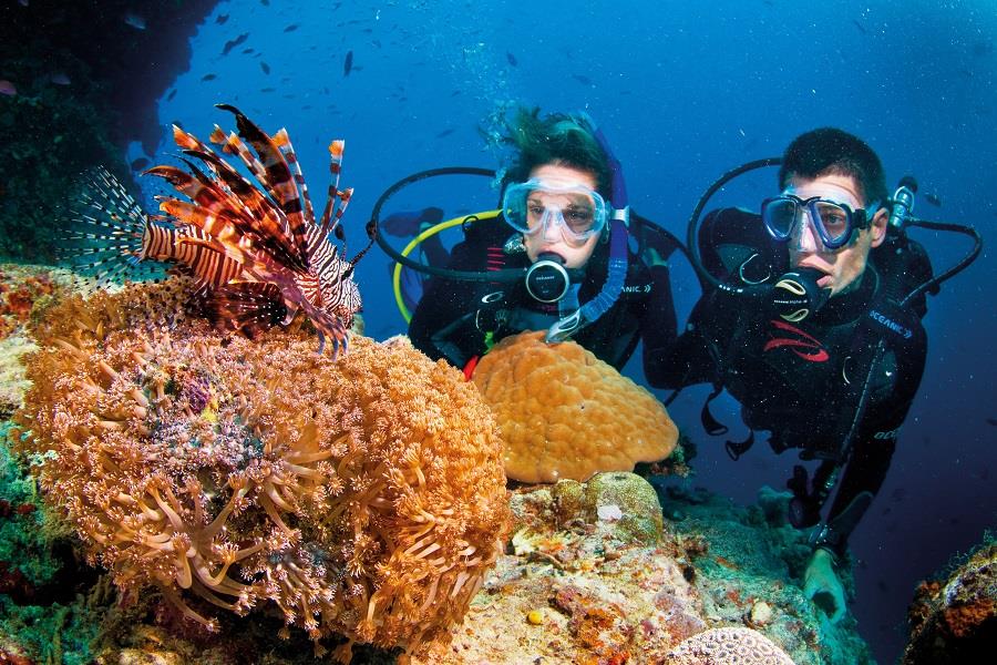 Scuba diving is a great experience in Hon Mieu, Nha Trang