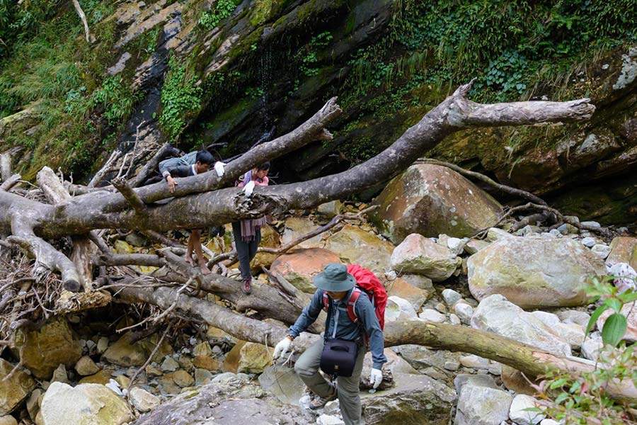Challenging trails