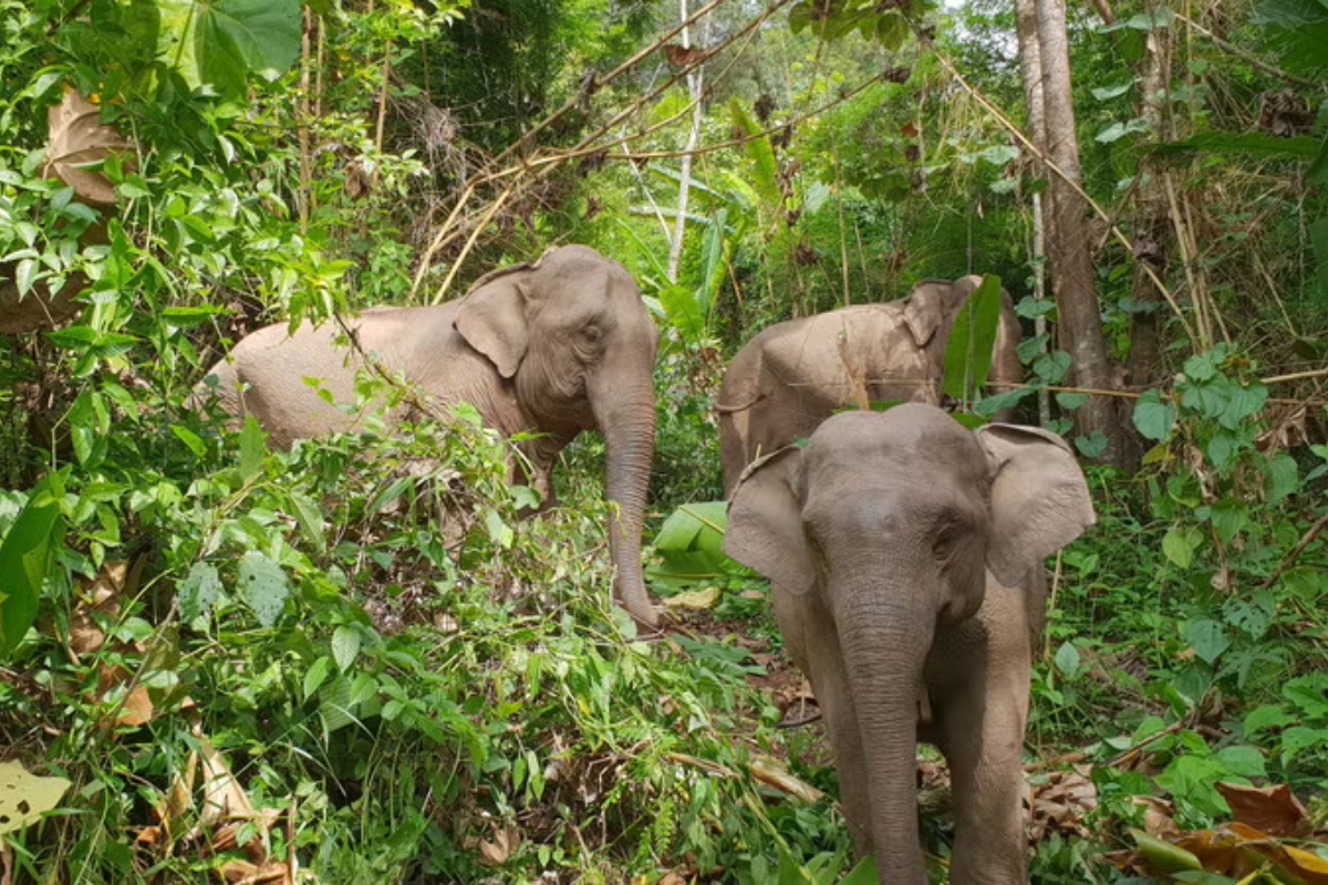 The travel expenses for visiting Nam Phouy can vary depending on many factors