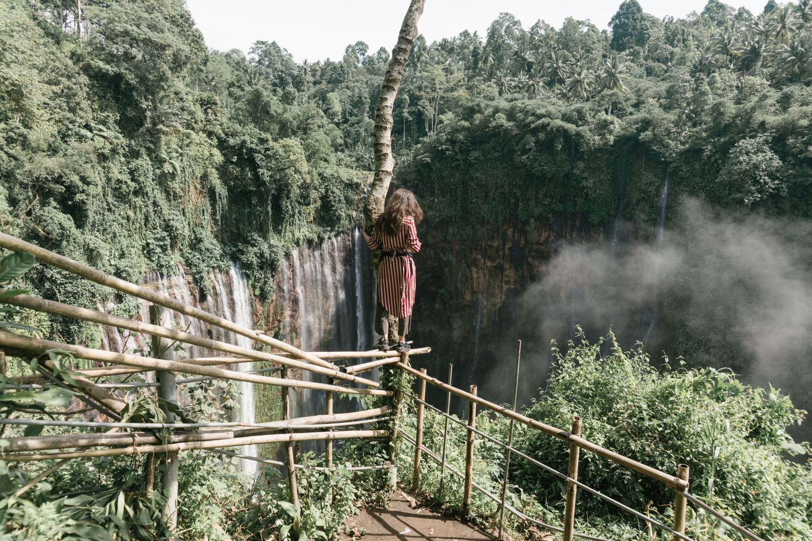 A woman stands beside Tumpak Sewu waterfall in a lush green forest, enjoying the breathtaking beauty of nature