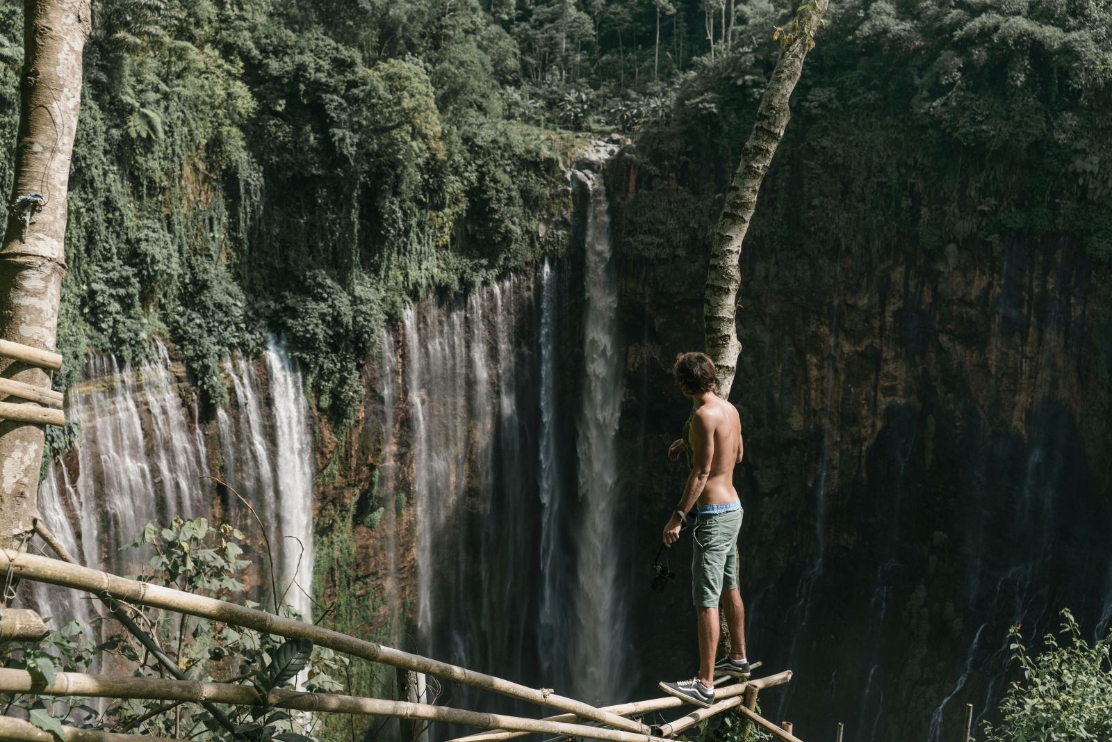 A tourist enjoys the breathtaking view of the majestic waterfall from a tree-covered cliff