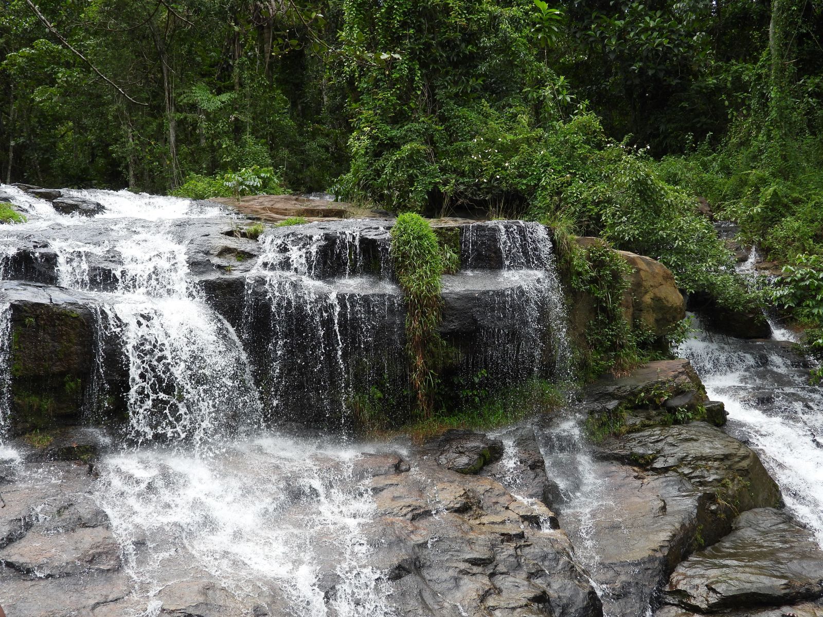 A tranquil waterfall cascades down into a serene forest lake, surrounded by lush greenery and smooth stones in Phnom Kulen National Park