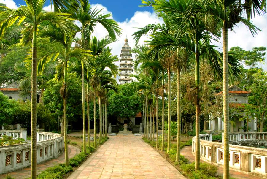 Palm-lined path to tranquility