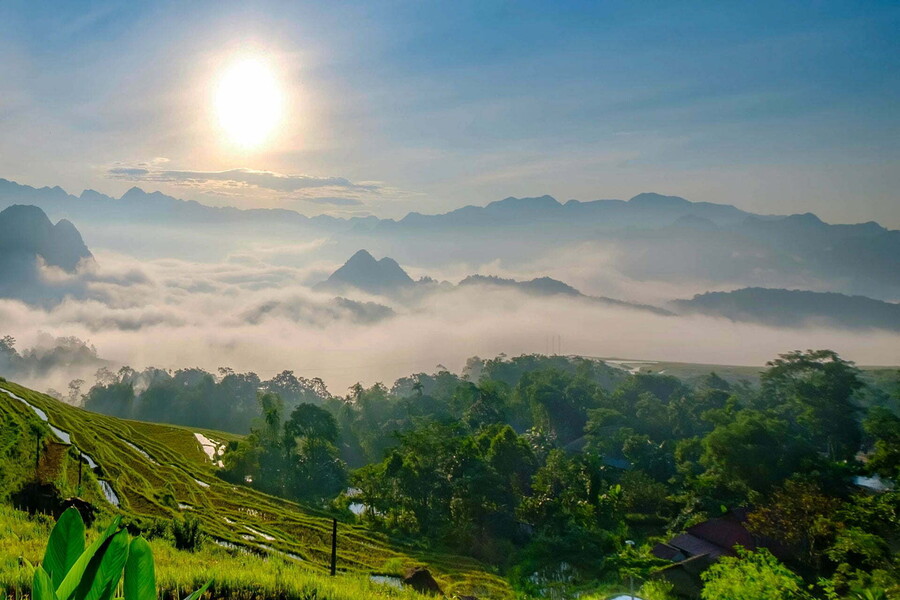 Coming to Pu Luong, you will be overwhelmed by the majesty of nature here