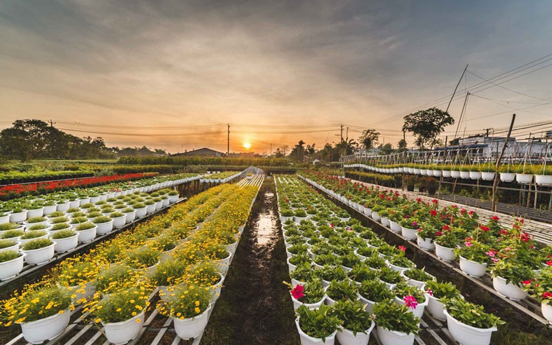 Flower Village - Garden of the Mekong - Asia King Travel 