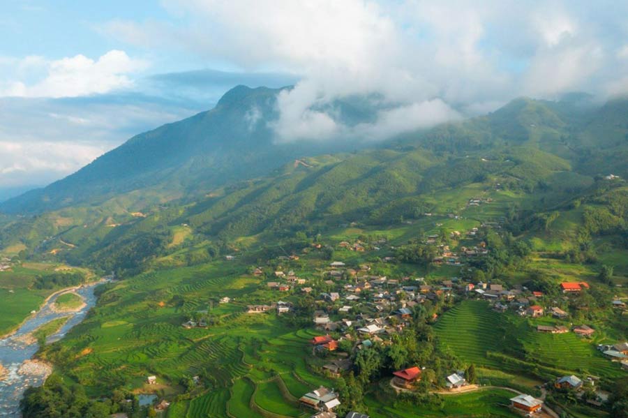 The cinematic green rice season in Vietnam