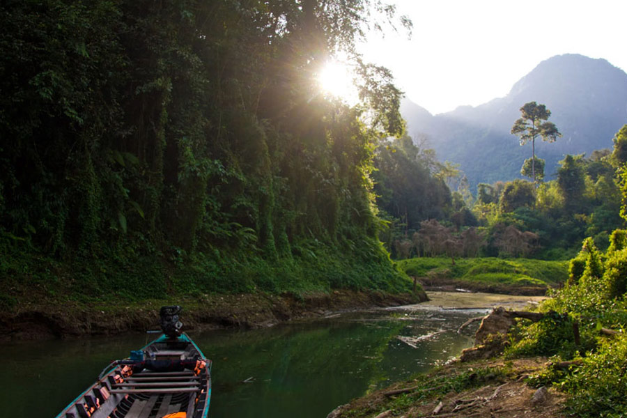 What to do in Surat Thani
