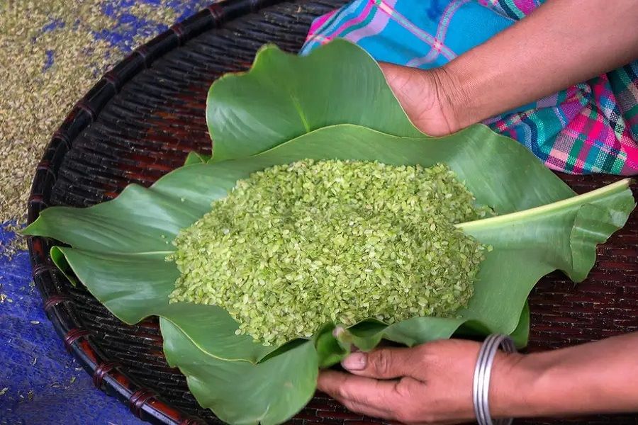 Young rice - A specialty in Tu Le Valley