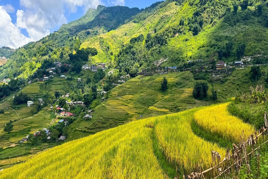 The peaceful village roofs between rice fields. Source: VinWonders