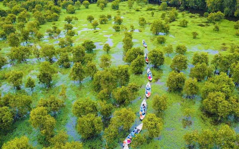Tra su Cajuput Forest