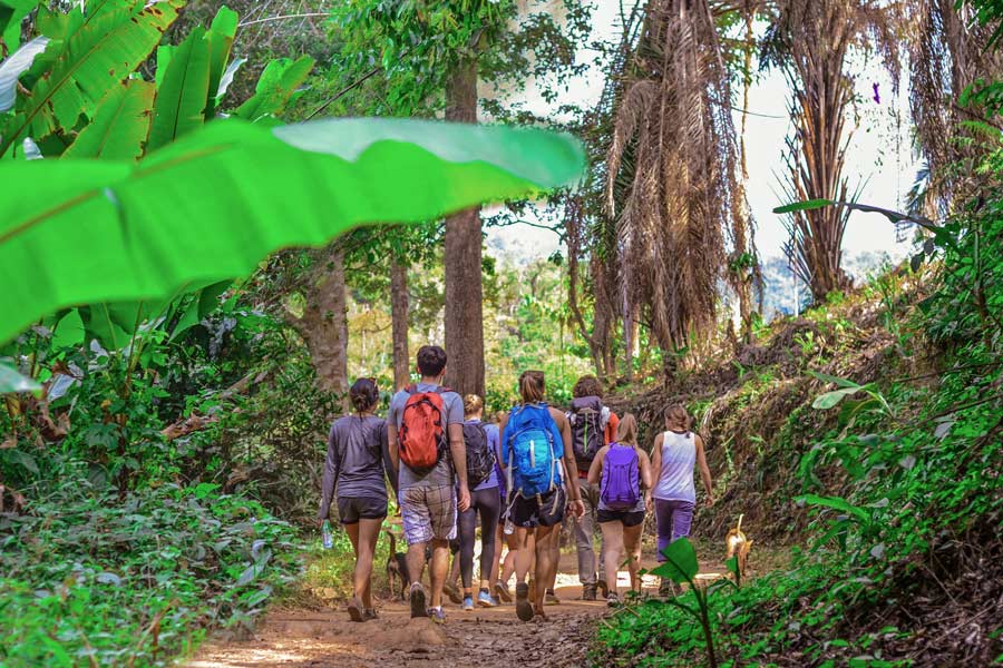 Travel Tips for a Northern Thailand 5-Day Trekking Tour