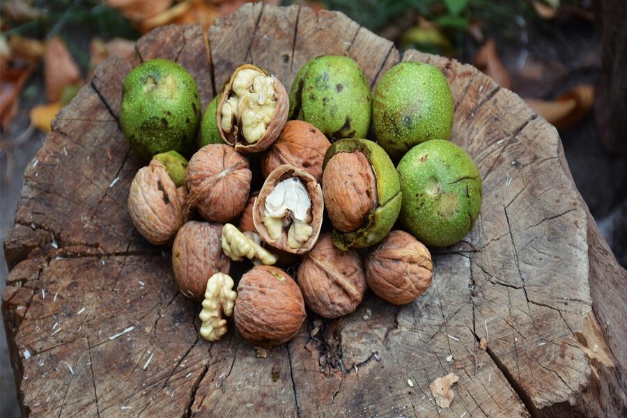 A familiar nut for foreign tourists, yet offering unexpected flavors. Photo: Dien May Xanh