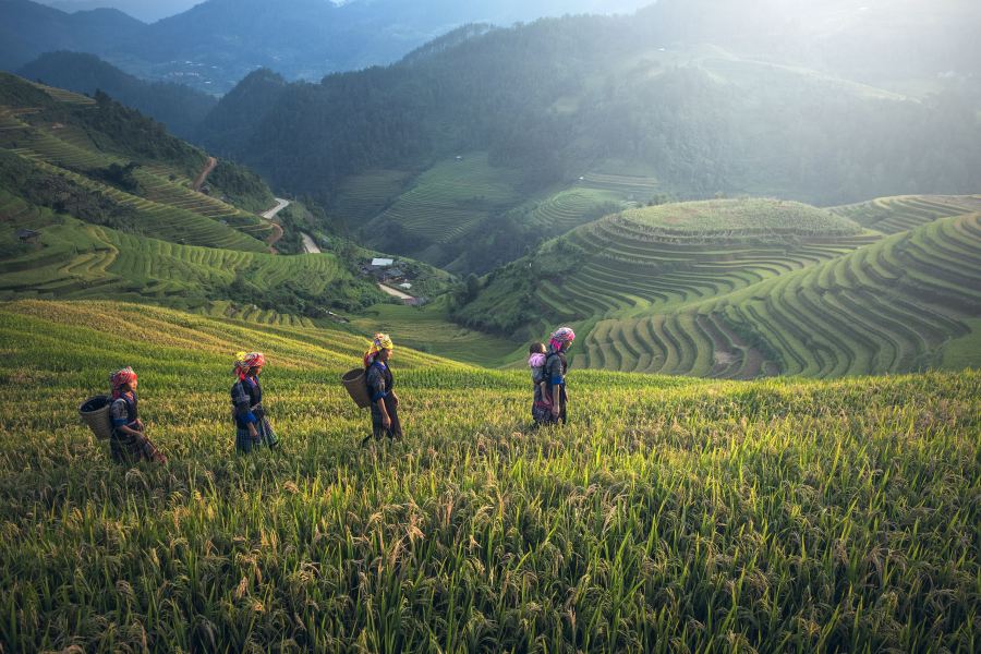 Enjoying beautiful mountains in Sapa during a wellness trip to Vietnam