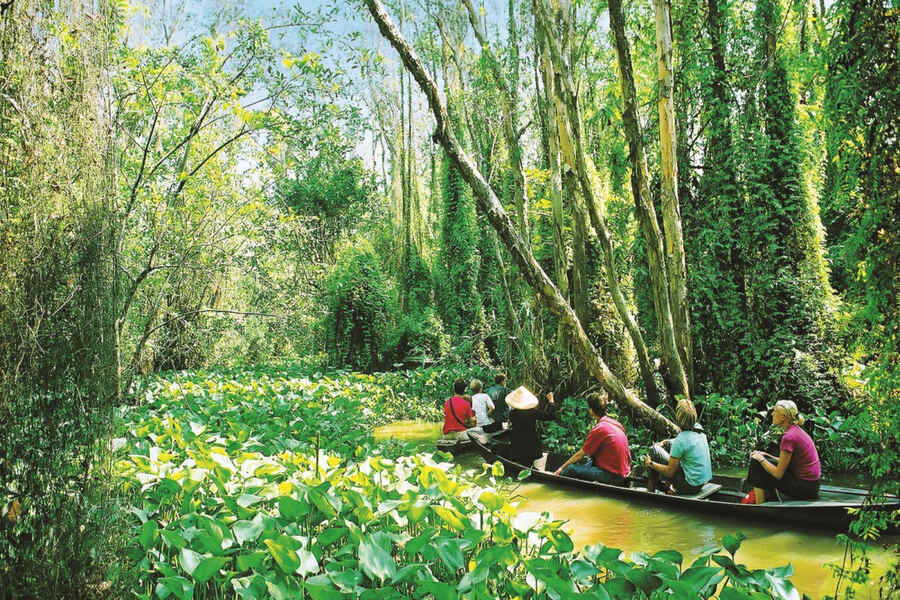 Checking in to Xeo Quyt Melaleuca Forest is a wonderful experience. Source: vietnamnews