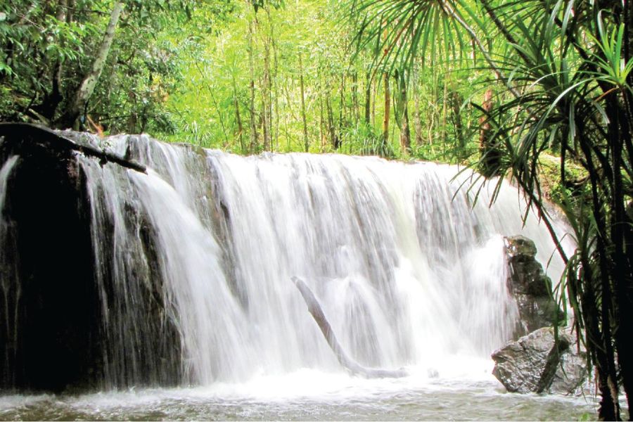 Tranh Stream
