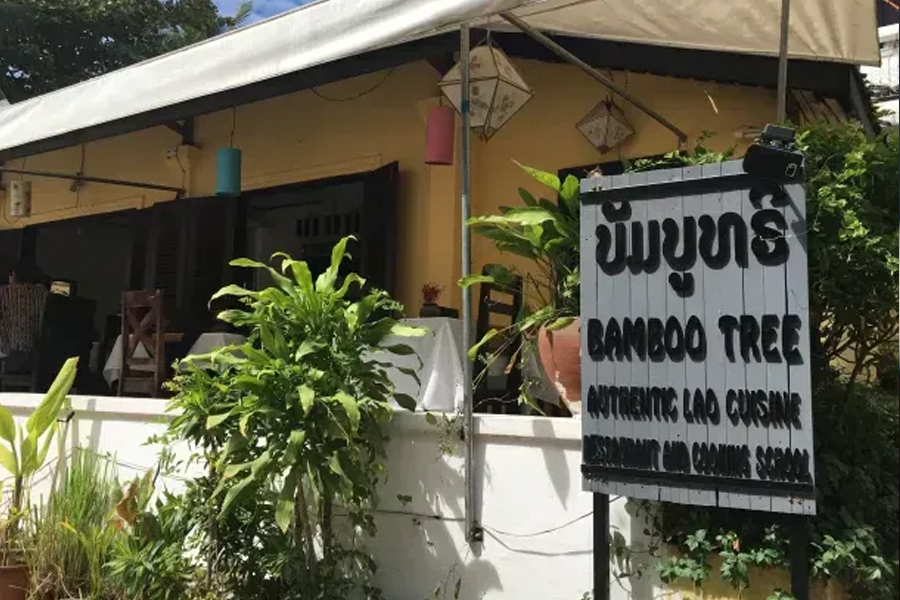 Bamboo Tree Cooking Class - 5-day food tour in Northern Laos