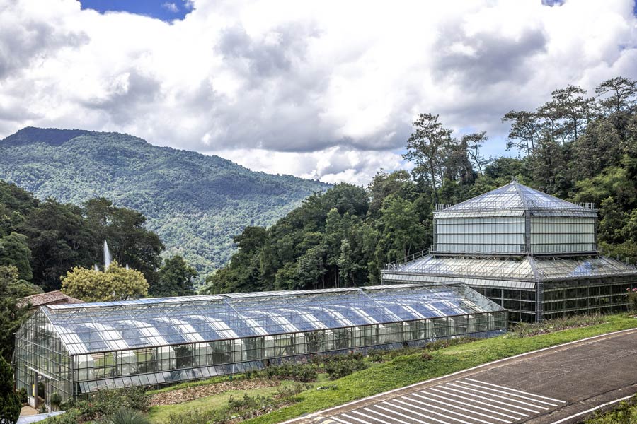What to do on a 5-day tour in Chiang Mai?