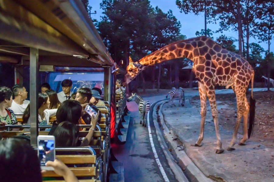 Chiang Mai Night Safari 
