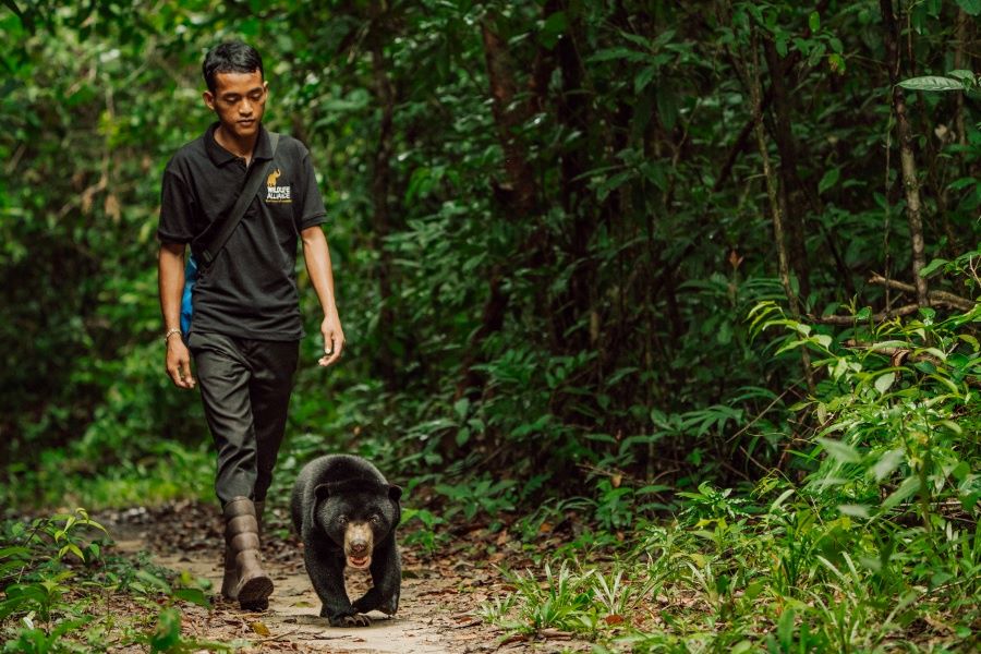 Wildlife Alliance have sustainable employment caring for rescued wildlife