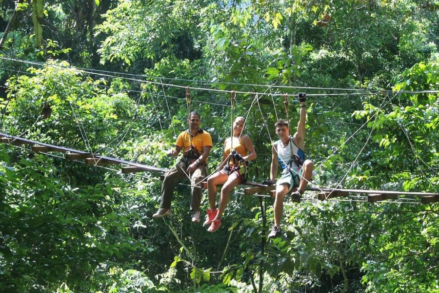 Zipline through the lush forest in Tree Top Adventure Park (Source: Treetop)