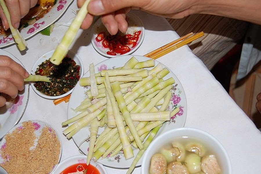 Bitter Bamboo Shoots