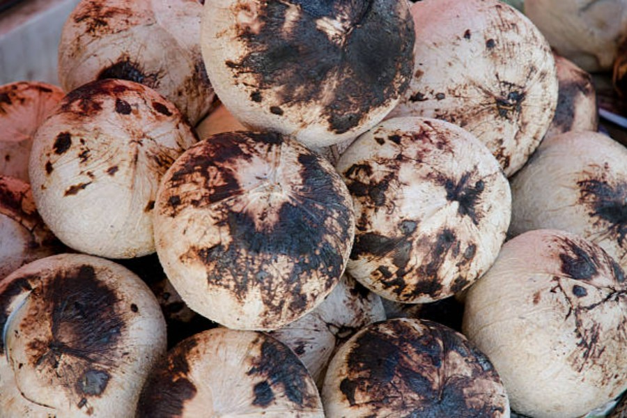 Roasted Coconut Juice