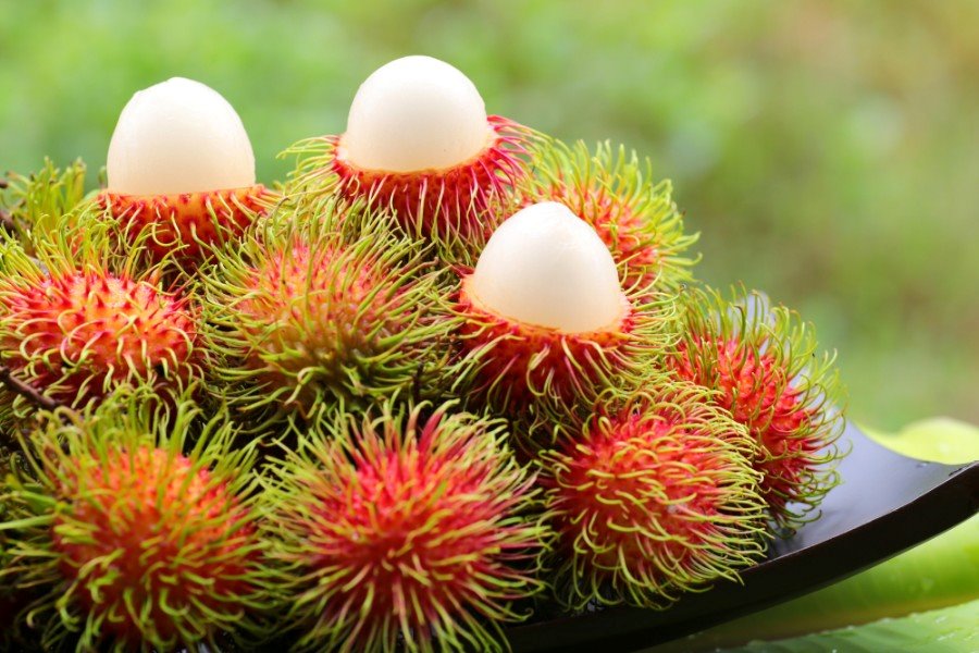 Rambutan 