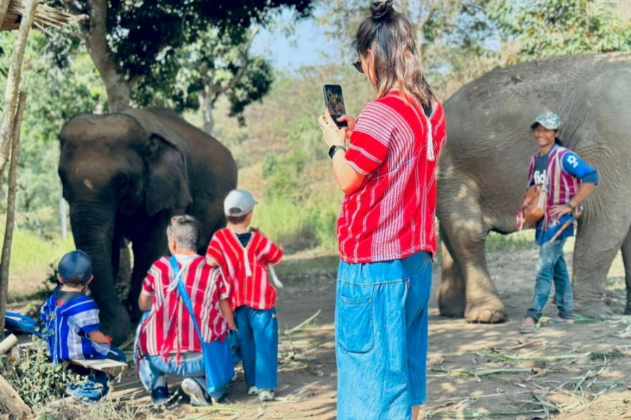 Half Day with Elephants Care in Ban Ruam Mit