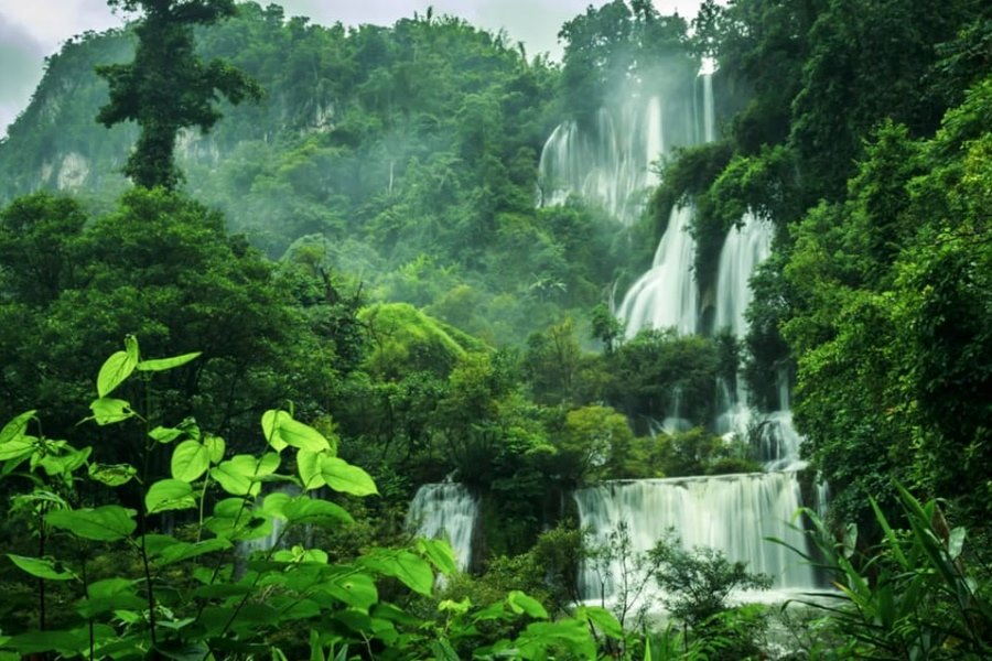 Wildlife trek in Umphang