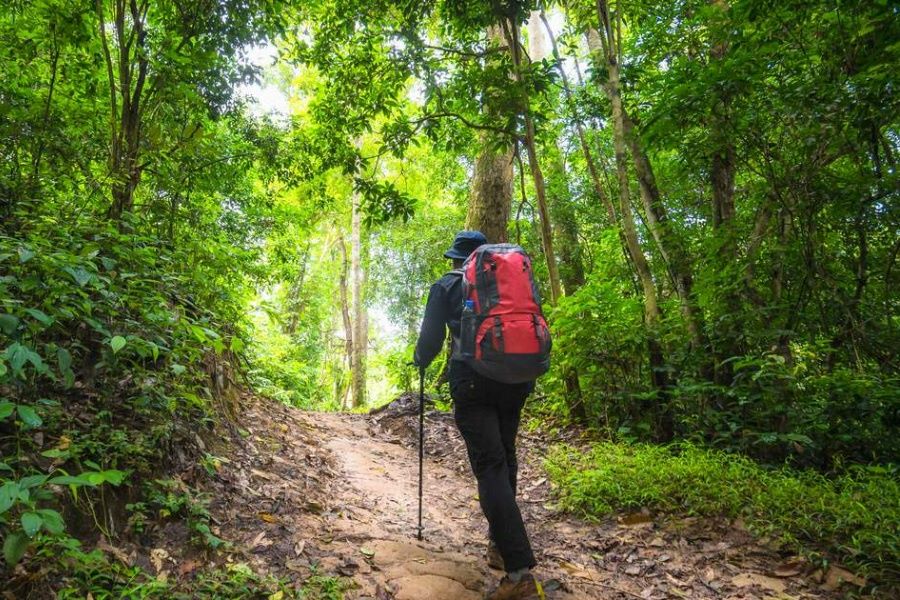 Jungle trekking in Thailand&nbsp;
