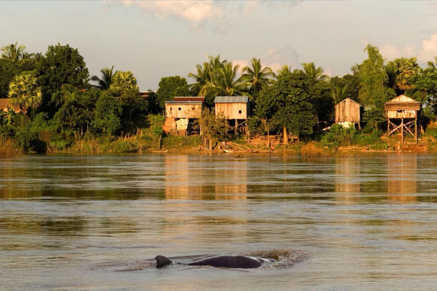 How to get to Kampi Village