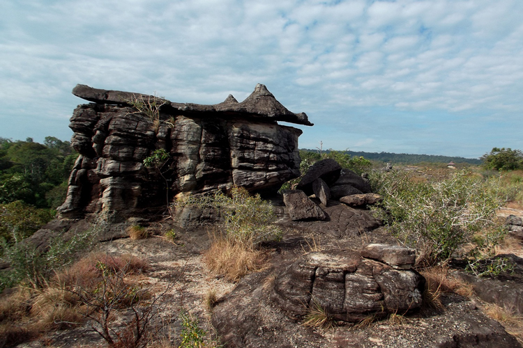 Phu Pha Thoep, Nakhon Phanom is known for its distinctive landscape, characterized by steep cliffs, rocky outcrops, and dense forests