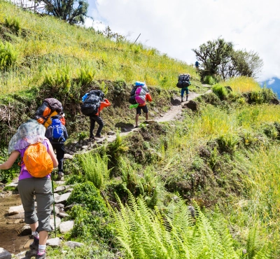 Trekking Tours