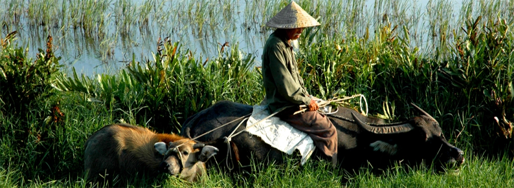 PHNOM PENH (B/L/D)