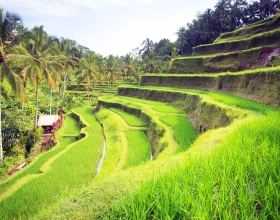 Off the beaten track