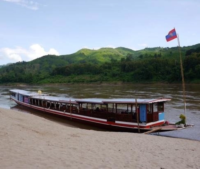 Shompoo cruise