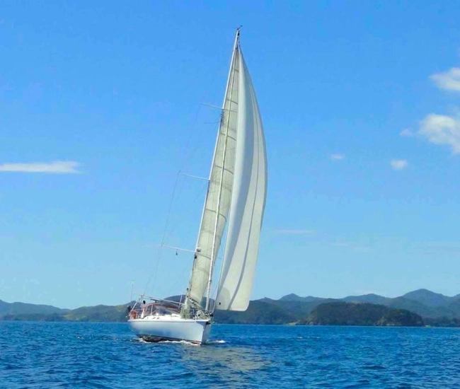 SY Dalaï