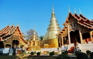 Chiang Mai Tour 5 days  - The land of elephants