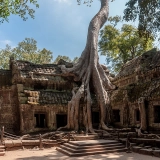 Romantic Couples in Cambodia