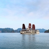 Azalea Cruises